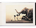 Книга Gregory Colbert. Ashes and Snow, фото 6