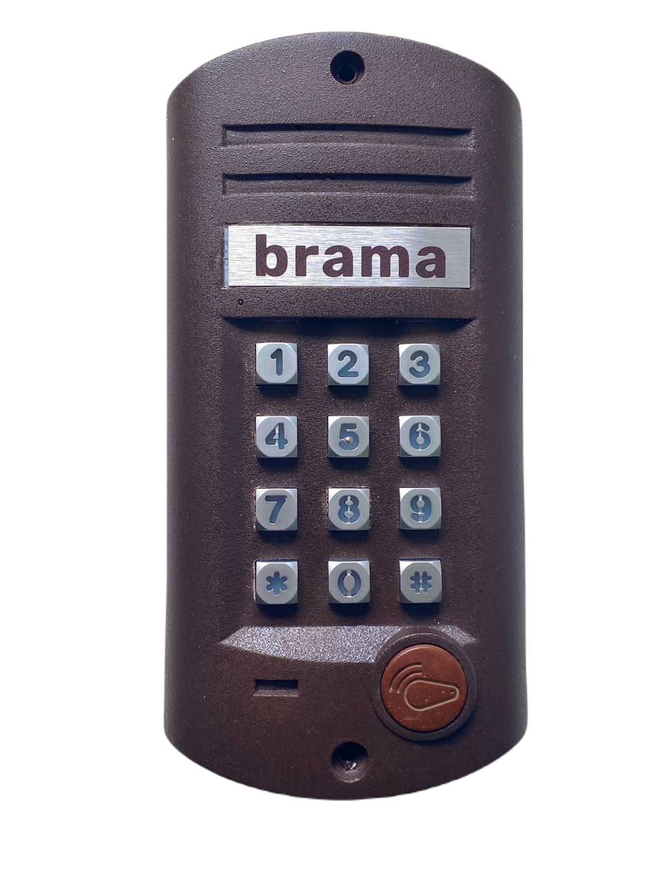 БВД-313R БРАМА