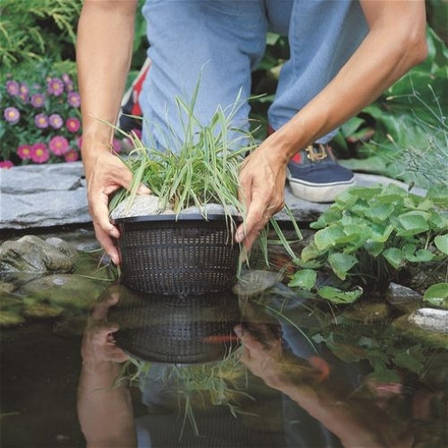 Кошик для висадки водних лілій, латаття - 35 х 35 см (об'єм - 20 л), фото 2