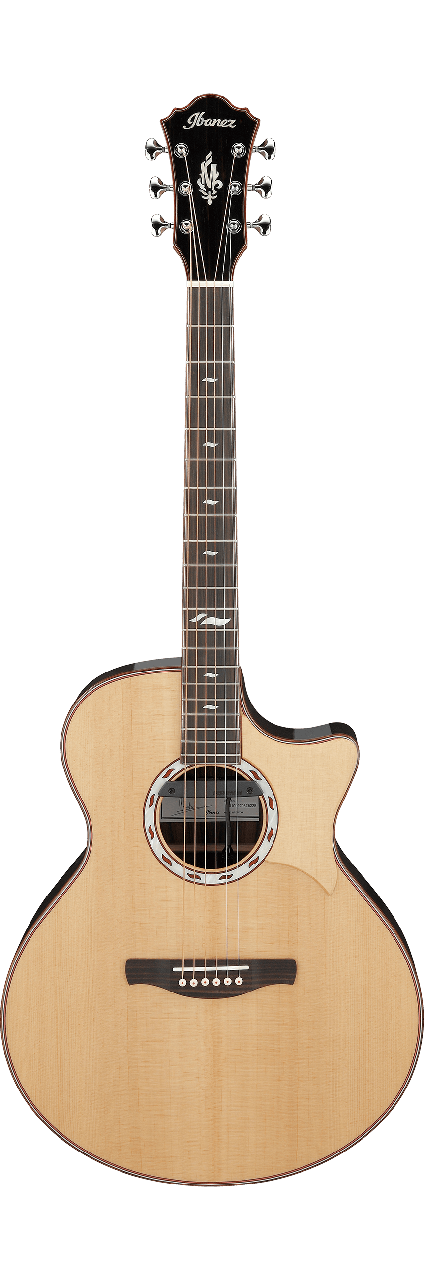Електро-акустична гітара IBANEZ MRC10 NT