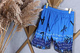 Фабричні шорти для чоловіків із Китаю: нова колекція Sofia D-2395 Синій 3XL, фото 2
