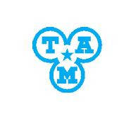 TAM лобове, вітрове скло для автобусів