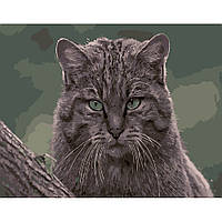 Картина по номерам Дикая кошка, в термопакете 40х50cм, Стратег DY177