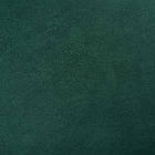 Крокус 88, фото 2