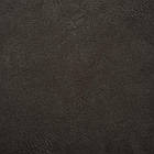 Крокус 95, фото 2