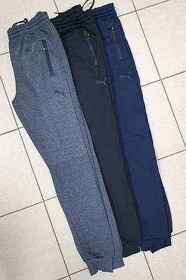 Спортивні штани чоловічі теплі PUMA арт.1171, Розмір чоловічого одягу (RU) 46, Міжнародний розмір M, Колір