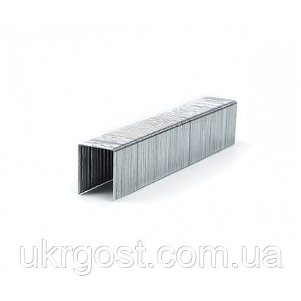 Скоби для степлера гартовані 14x0, 7x11, 3 мм А53 POLAX (24-011), фото 1