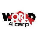 МЕХАНІЧНІ СИГНАЛІЗАТОРИ WORLD4CARP