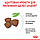 Royal Canin Mini Puppy сухий корм для цуценят дрібних порід, 2 КГ, фото 4
