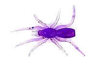 Мягкий съедобный силикон Perchik Tiny Spider 1.1" col.033 силиконовая приманка для ловли хищных и мирных риб