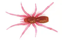 Мягкий съедобный силикон Perchik Tiny Spider 1.1" col.006 силиконовая приманка для ловли хищных и мирных риб