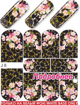 Слайдер-дизайн — J 8, фото 1