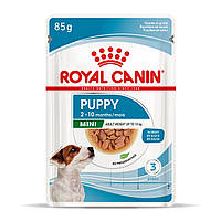 Royal Canin Mini Puppy влажный корм для щенков мелких пород, кусочки в соусе, от 2 до 10 месяцев, 85гр*12шт