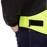 Nerve latitude Літня сітчаста, фото 6