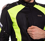 Nerve latitude Літня сітчаста, фото 3