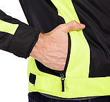 Nerve latitude Літня сітчаста, фото 9