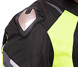 Nerve latitude Літня сітчаста, фото 5