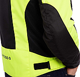 Nerve latitude Літня сітчаста, фото 7