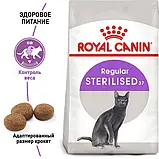 Сухий корм для дорослих стерилізованих кішок Royal Canin STERILISED 10+2 кг (3182550773928), фото 4