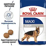 Сухий корм Royal Canin MAXI ADULT для дорослих собак Великих порід 15+3 кг (3182550702775), фото 3