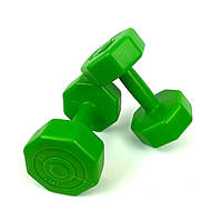 Гантели композитные для фитнеса 2х2 кг NEO SPORT, цельная неразборная (зеленая)