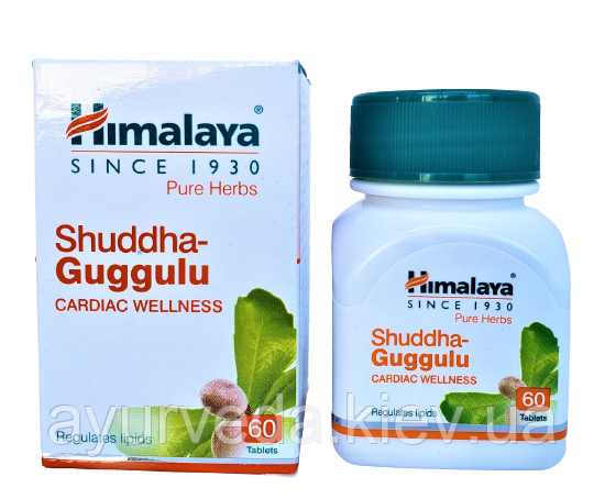 Шудха Гугул, Shuddha guggul до 4.22 — схуднення, атеросклероз, холестерин, ревматизм, артрит, очищення судин
