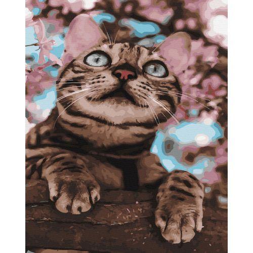 Картина за номерами "Пухнастий бешкетник" ★★★ [tsi205266-TSI], фото 1