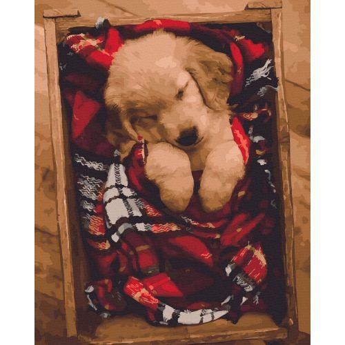 Картина за номерами "Цуценя" ★★★ [tsi205290-TSI], фото 1