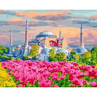 Картина по номерам "Стамбульские цветущие поля" [tsi205336-TSI]