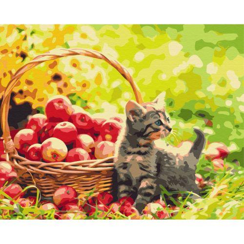 Картина за номерами "Яблучний котик" ★★★ [tsi203557-TSI]