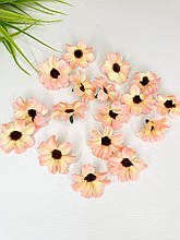 Хризантема 3,5 см персикова