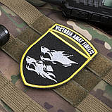 Шеврон 38 ОБрМП Victoria Amat Fidelis, фото 2