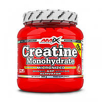 Креатин моногидрат Amix Creatine Monohydrate 300 g