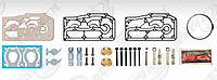 Комплект ремонтный компрессора полный Daf