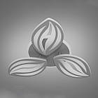 Сучасна світлодіодна люстра 70 Вт з підсвічуванням та пультом колір каркасу сірий D-9103/3GR LED 3color dimmer, фото 3