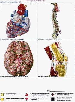 4505248186 w640 h2048 diagnostika 2