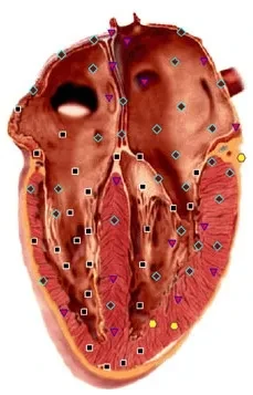 4505667418 w640 h2048 diagnostika 4