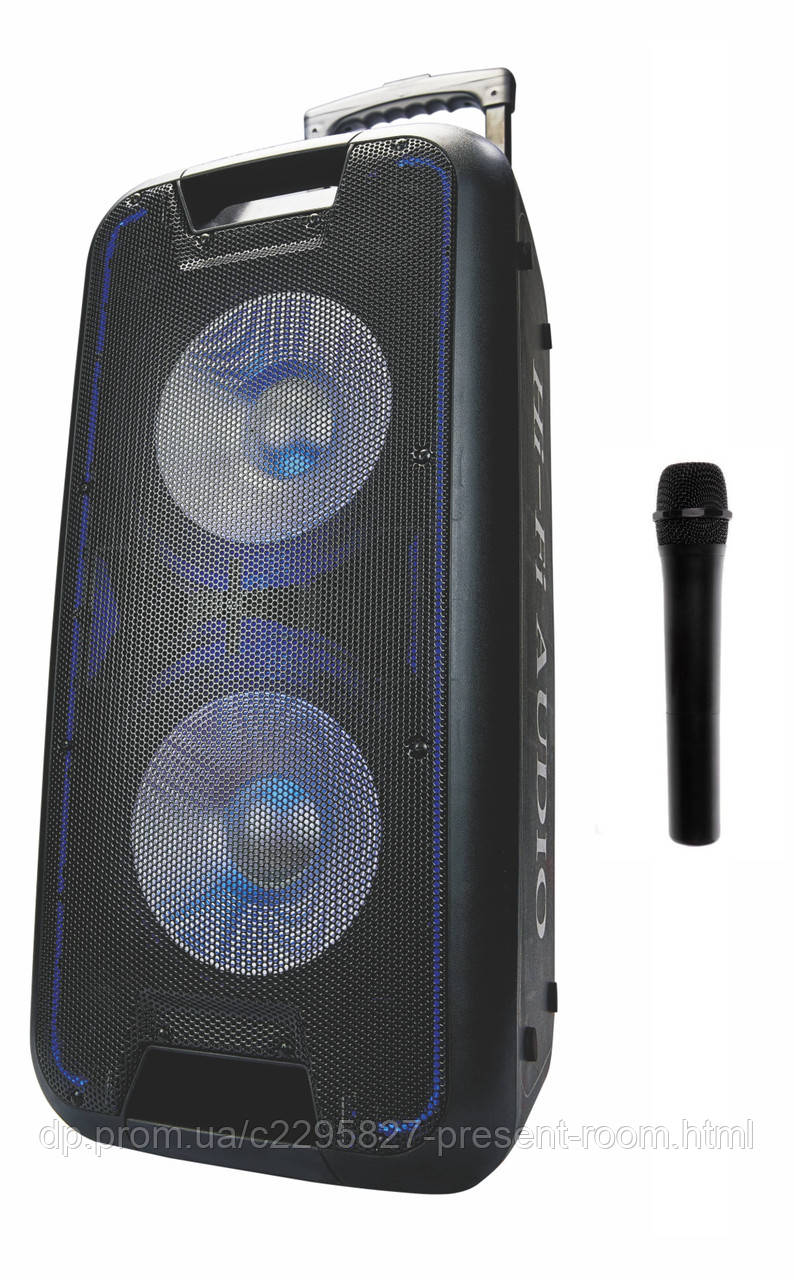 Купить Акустическая система Goldteller GT-6067 с двумя микрофонами ...