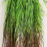 Штучний кущ-шортинг 92 см зелений з жовтогарячим, фото 3