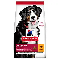 Hills (Хиллс) Adult Large Breed сухой корм для собак больших пород с курицей, 14 кг