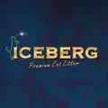 Iceberg