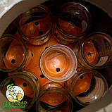 Автоклав сталевий Майстер 16 газ/електро (16 банок 0,5 л.), фото 7