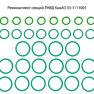 Ремкомплект; ПНВТ КамАЗ-740; секції високого тиску; 33-1111001-01; колир зелений;, фото 1