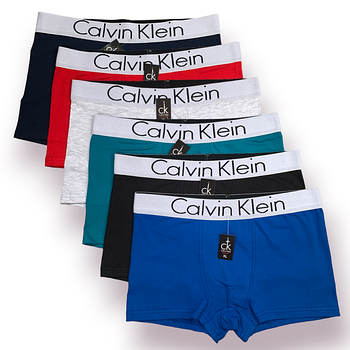 CALVIN KLEIN модель 15