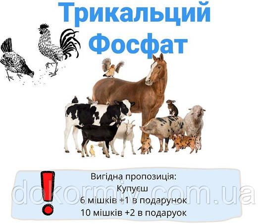 Трикальцій фосфат кормовий для тварин і птиці від виробника, фото 2