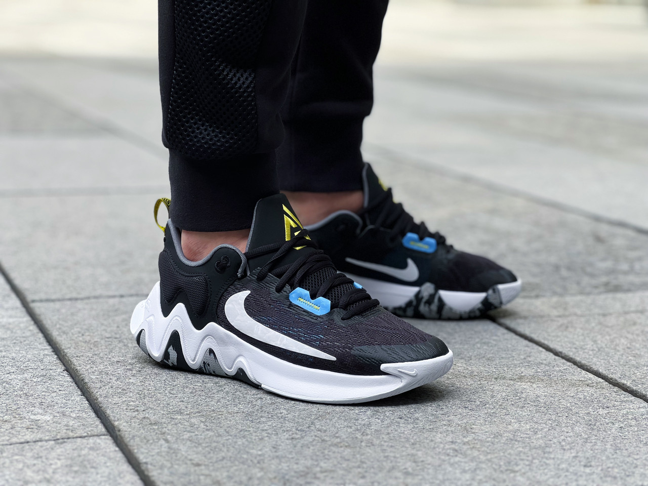 Кросівки чоловічі Nike Giannis Immortality 2 / DM0825-001 (Розміри:42,5,47)