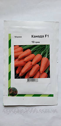 Насіння Морква Канада F 1, 10 грам Bejo Агропак, фото 1