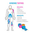 Кінезіо тейпи Kinesiology tape 5 см х 5 м Еластичний пластир Тейп для тіла спини та шиї в рулоні, фото 2