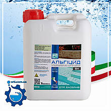 Альгіцид проти водоростей та зелені в басейні 5л (Італія) PG 42