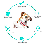 Зубна щітка іграшка для собак Dog Toothbrush-Bone еластична гумова кістка для чищення зубів Червона, фото 2